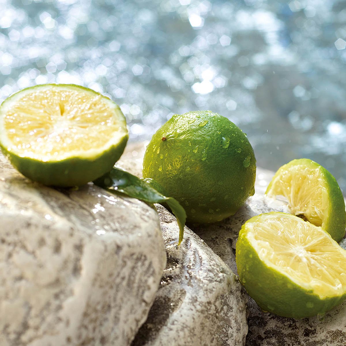 Fragancia para Mujer Dolce&Gabbana Light Blue Summer Vibes Edt Spray 100Ml