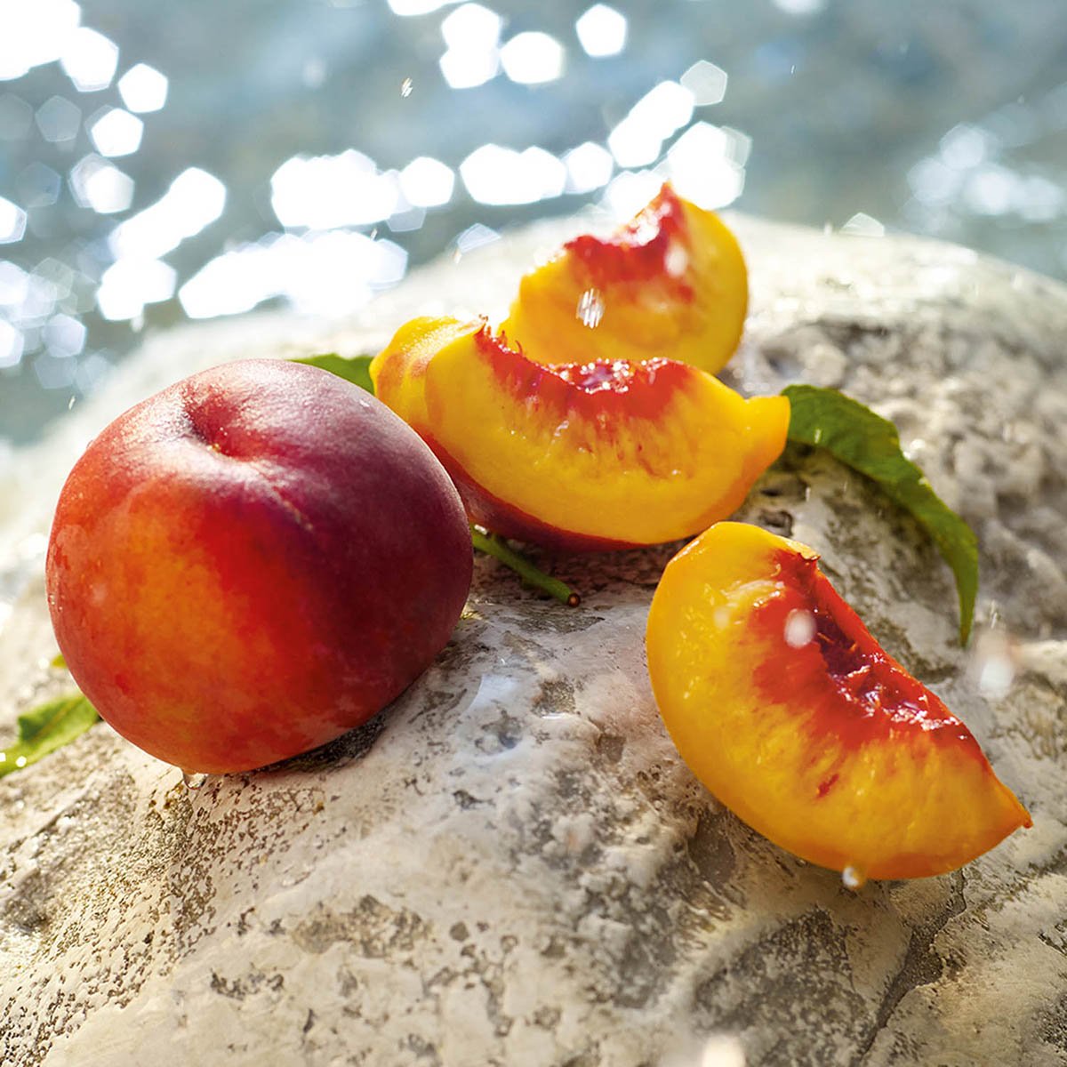 Fragancia para Mujer Dolce&Gabbana Light Blue Summer Vibes Edt Spray 100Ml