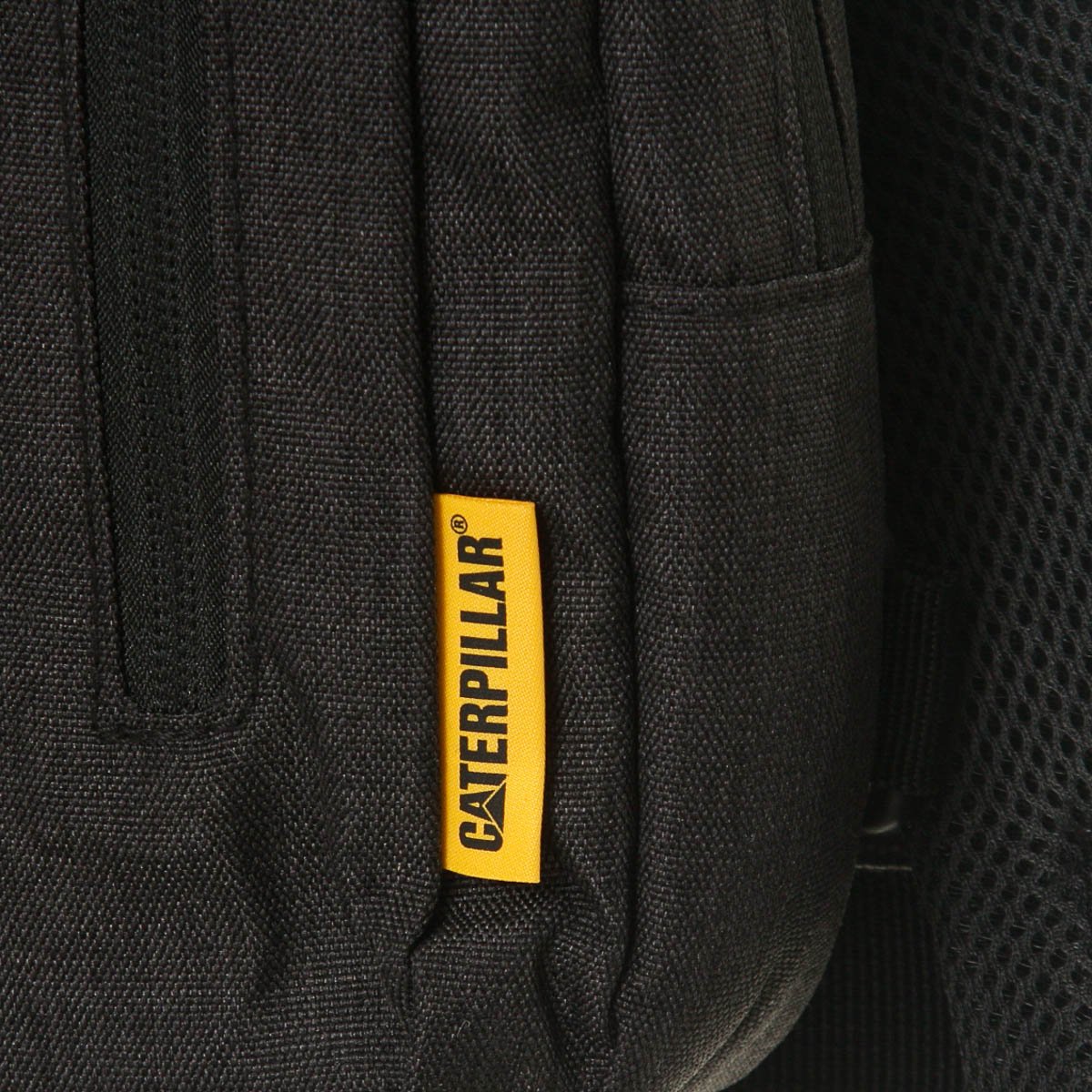 Messenger Cat para Hombre