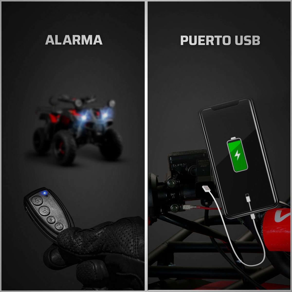 Cutrimoto Reptile Trek 200 2024 Vento