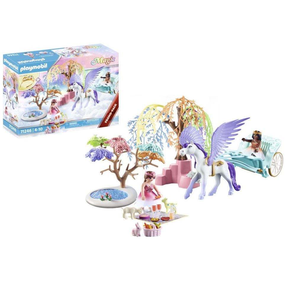 Picnic con Carruaje Pegaso