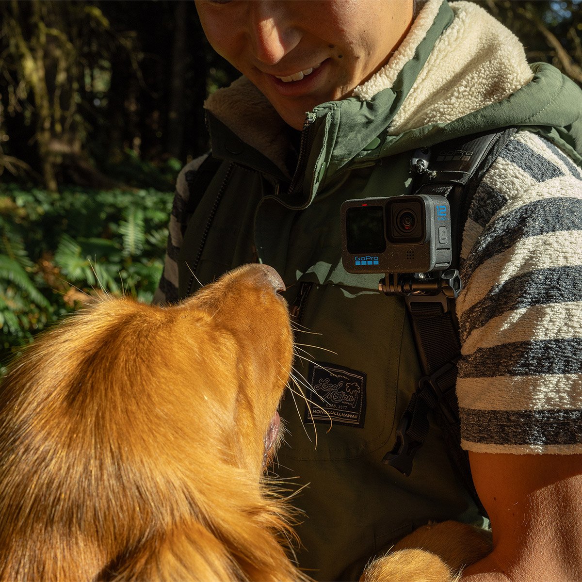 Cámara Gopro Hero12 Black