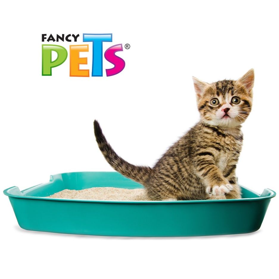 Arena para Gato Fancy Pets 12.5 Kilos