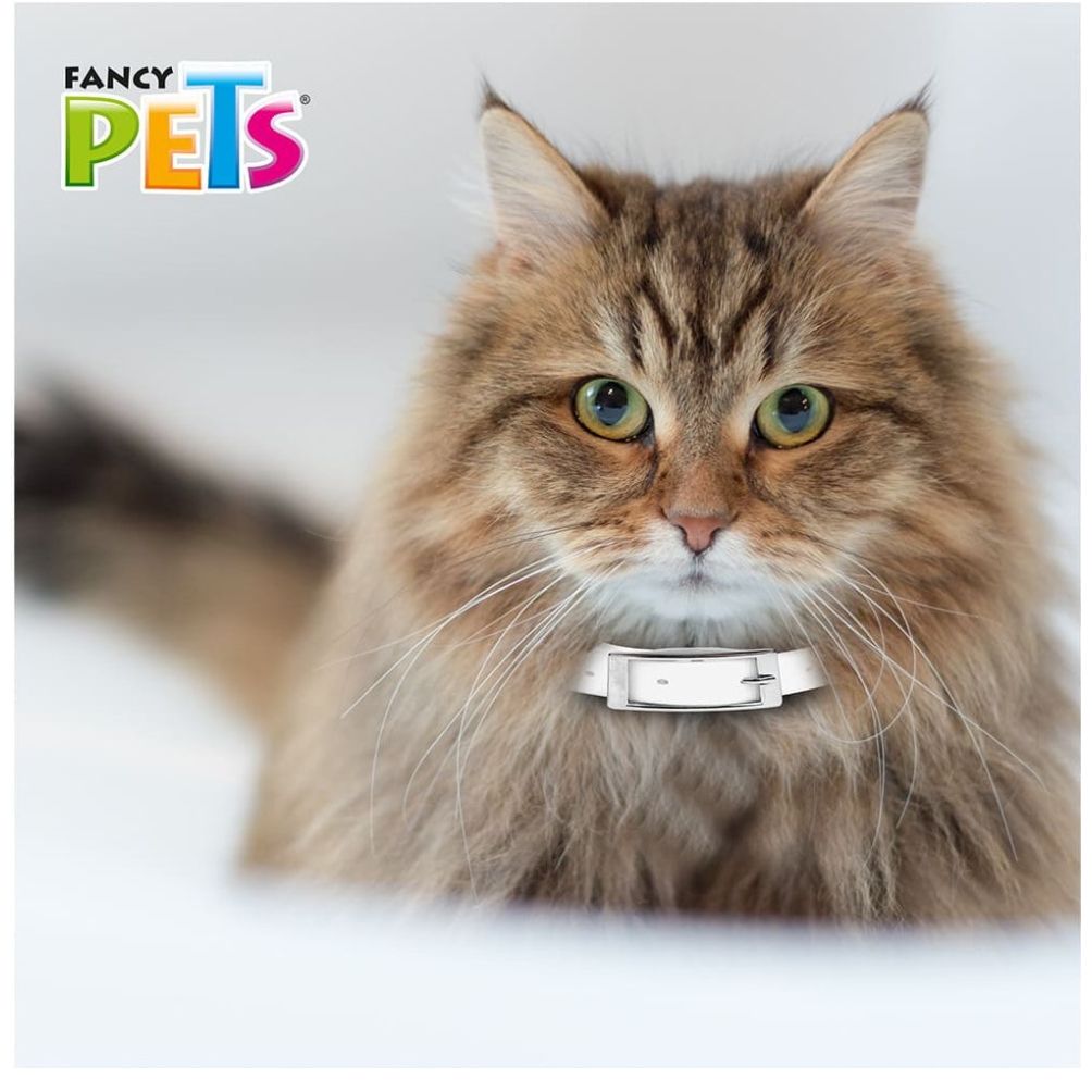 Collar Antipulgas para Gato Fancy Pets
