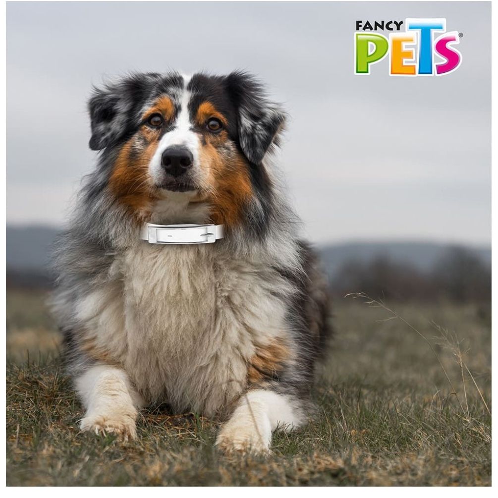 Collar Antipulgas para Perro Mediano Fancy Pets