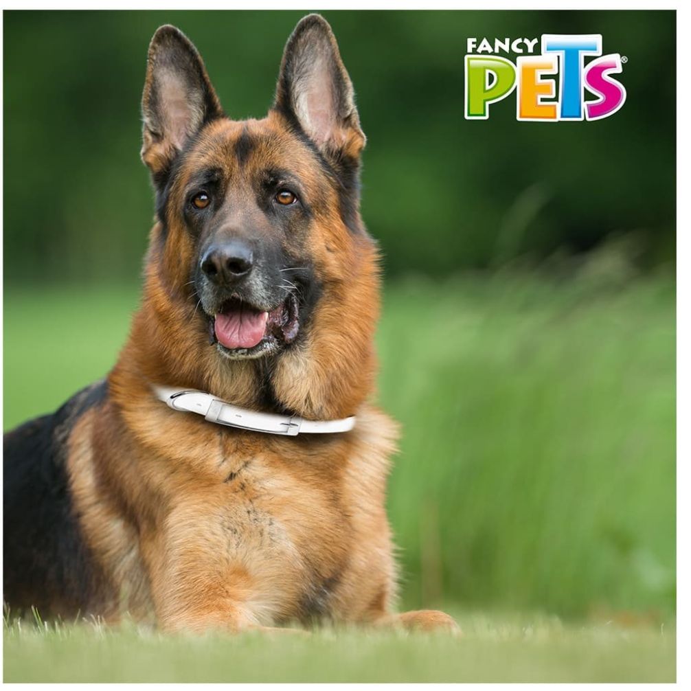Collar Antipulgas para Perro Grande Fancy Pets