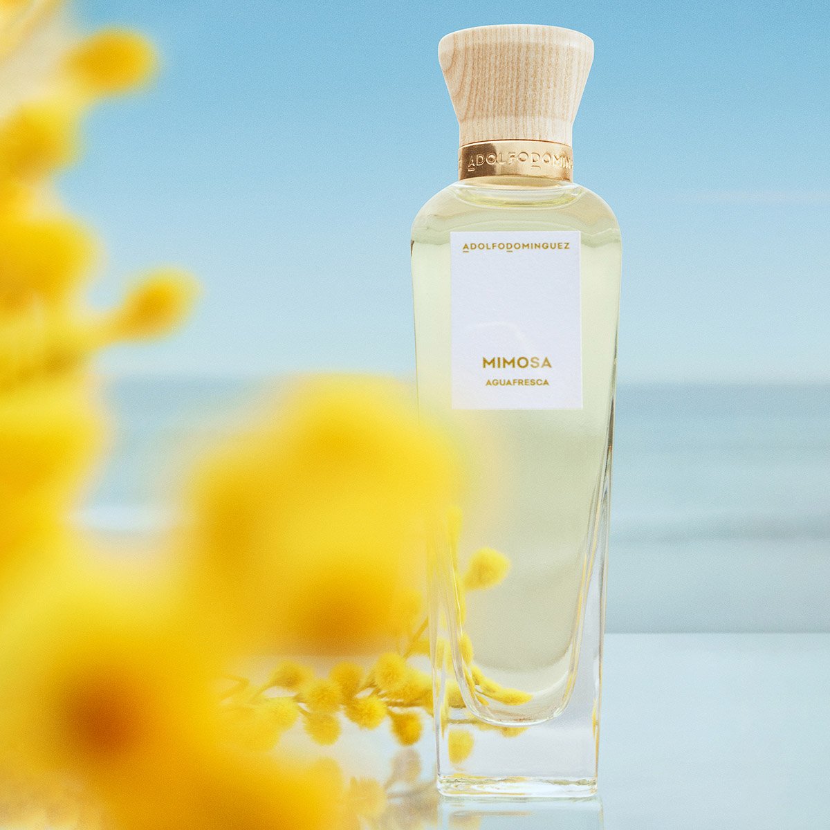 Chameleon Bahoma Eau De Toilette Adolfo Dominguez Agua Fresca