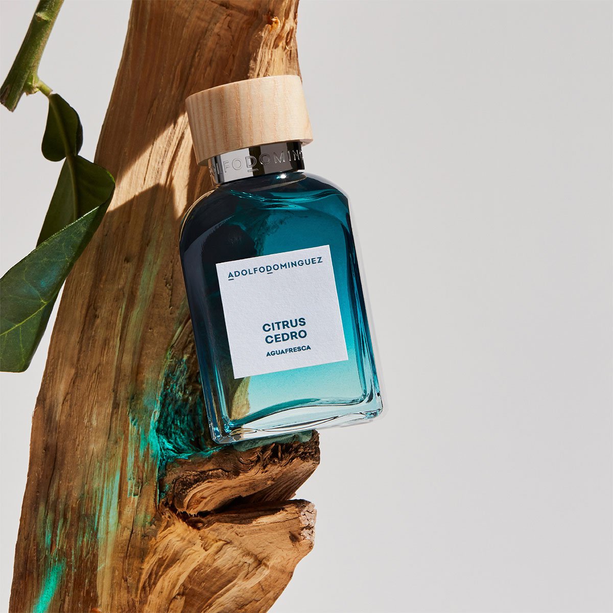 Adolfo Dominguez Agua Fresca Citrus Cedro Set para Hombre Edt 120Ml + Desodorante 150Ml