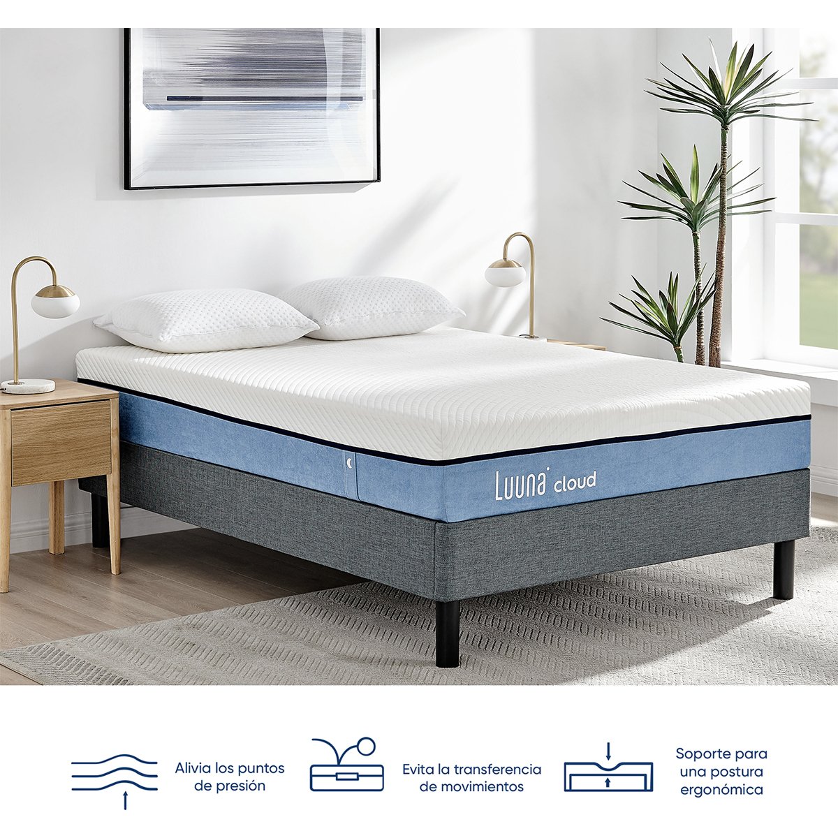 Colchón de Caja King Size Cloud Luuna