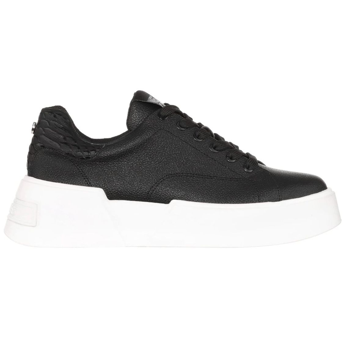 Tenis Negro Suela de Inyección Westies