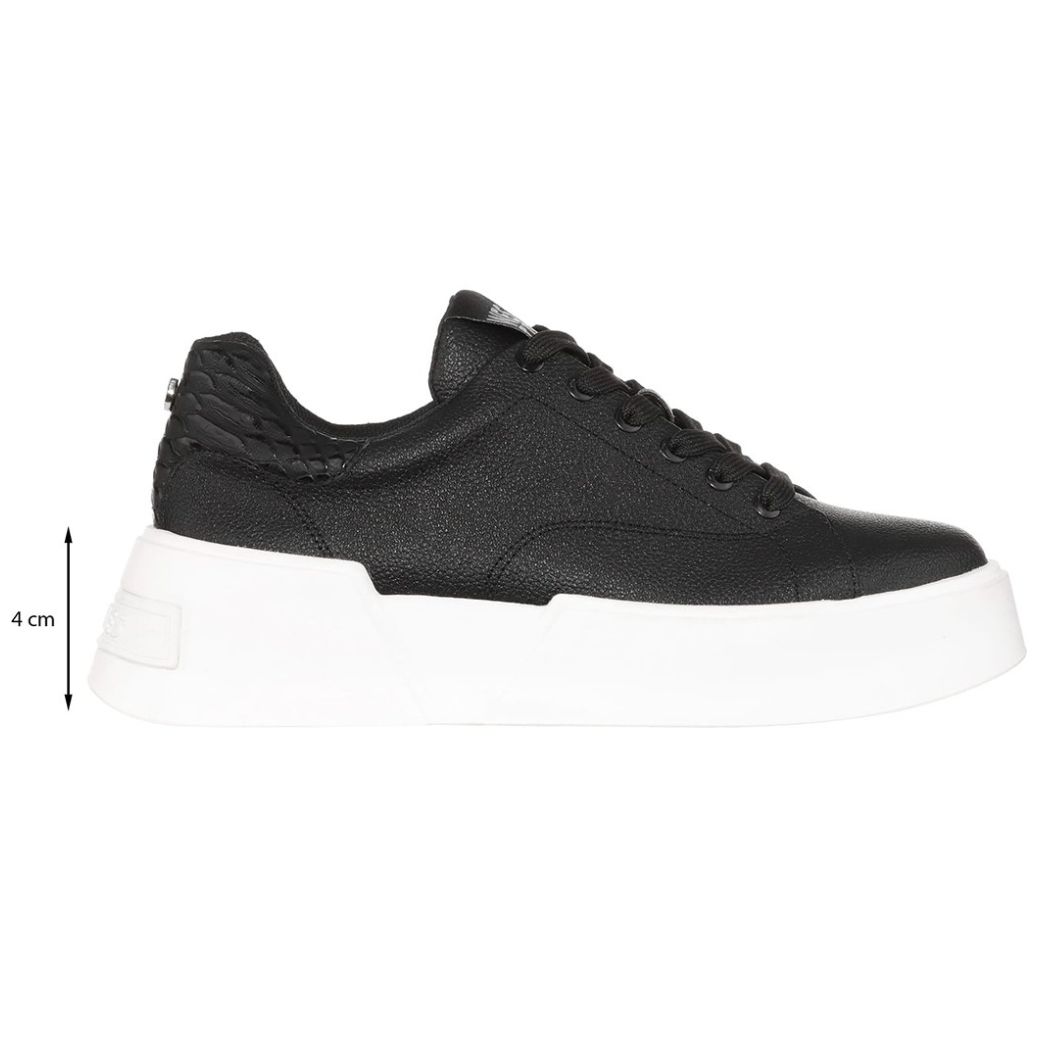 Tenis Negro Suela de Inyección Westies