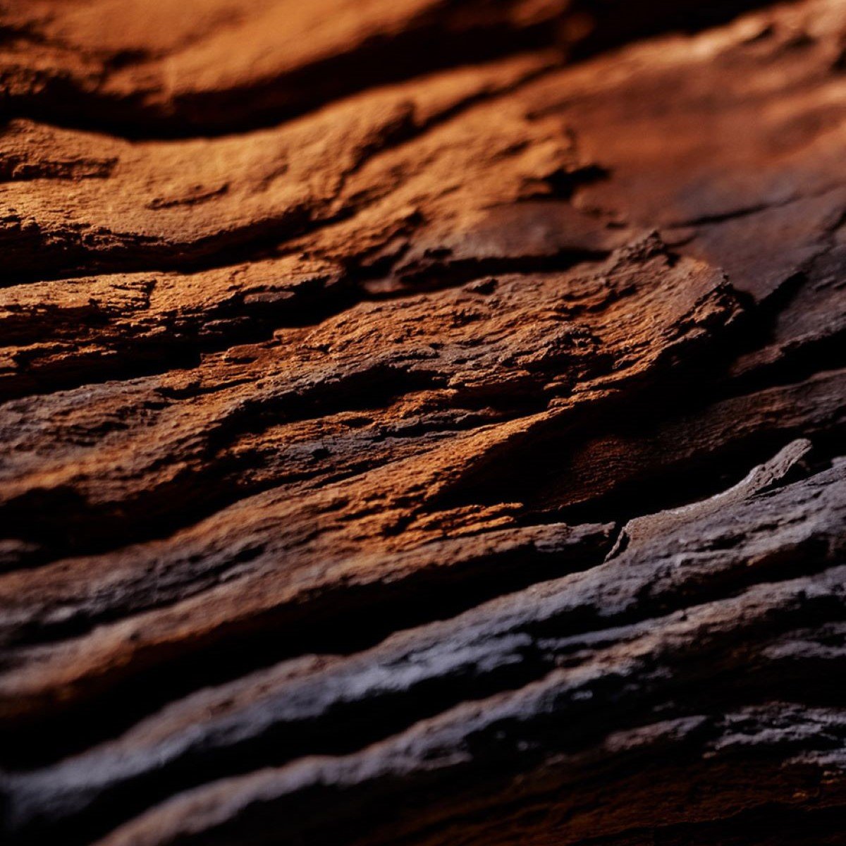 Fragancia para Hombre Ralph Lauren Red Parfum Edp 125 Ml