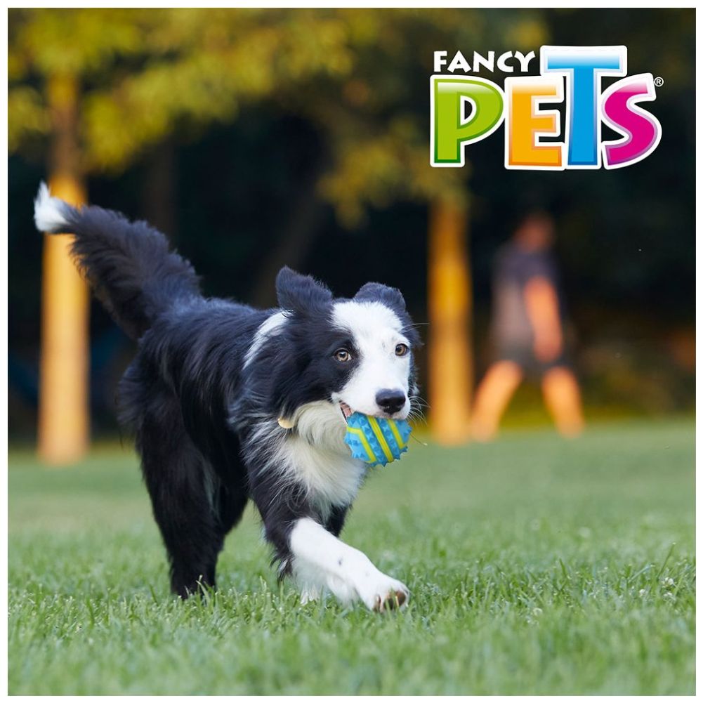 Pelota Mediana Spiky Fetch Acuario Lomas