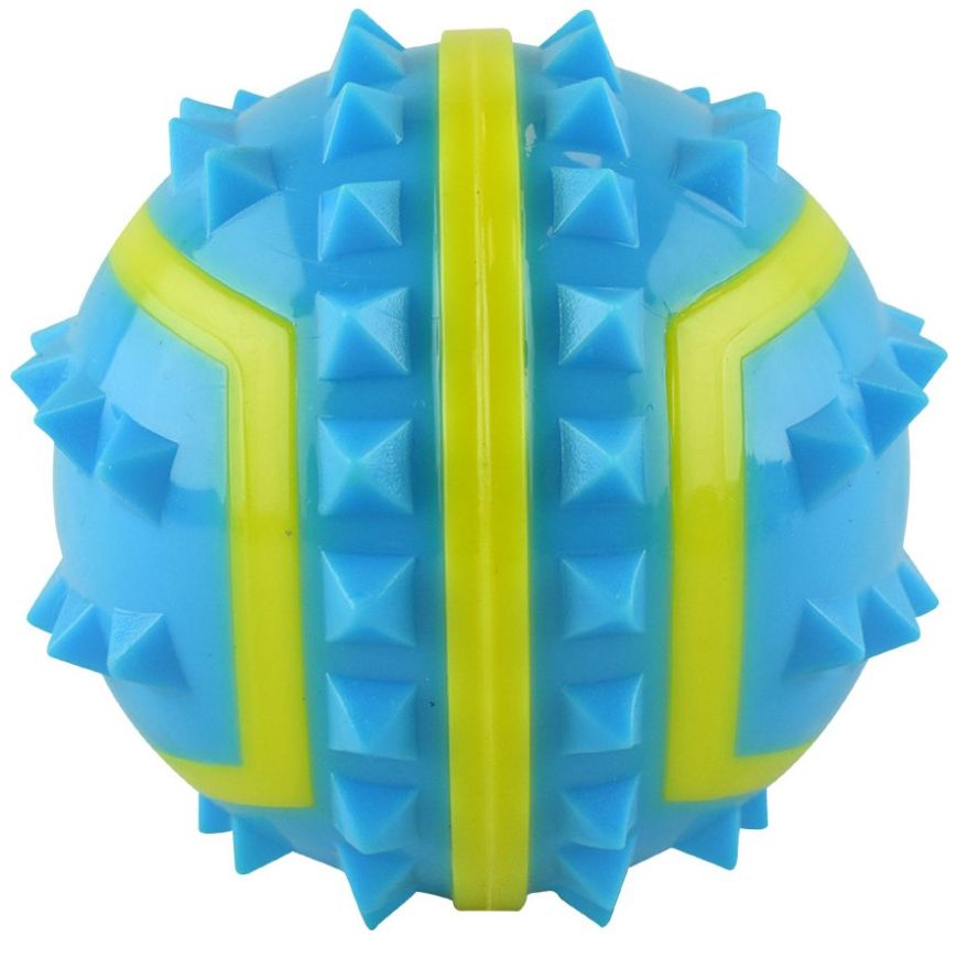 Pelota Grande Spiky Fetch Acuario Lomas