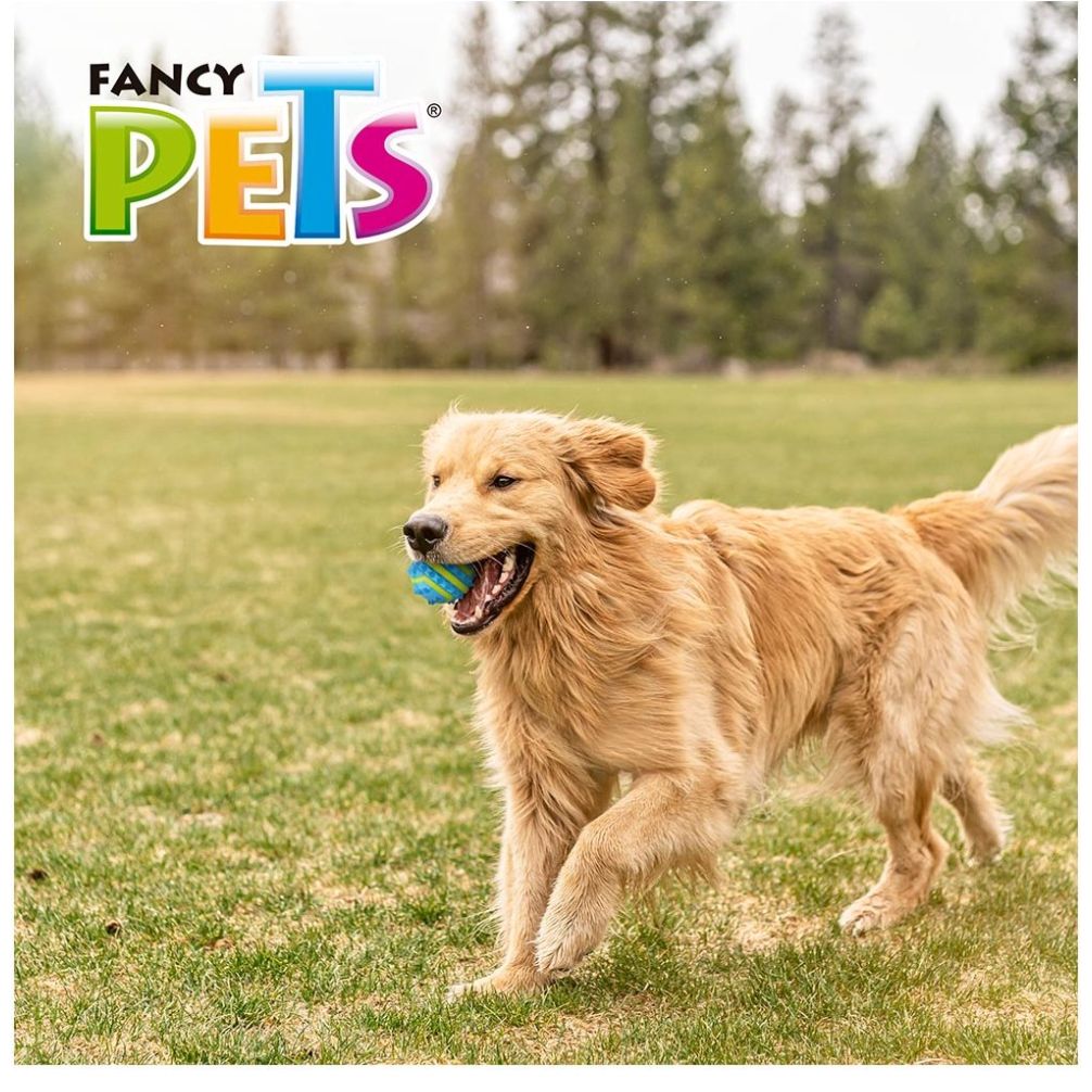 Pelota Grande Spiky Fetch Acuario Lomas