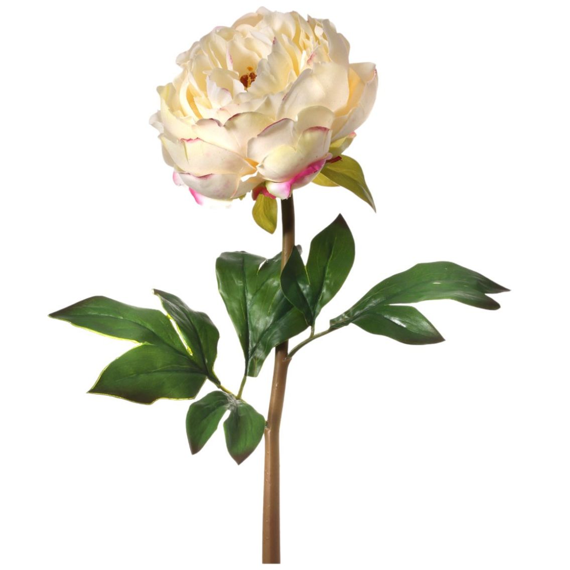 Flor Peonia Cream Blush Vintage Home