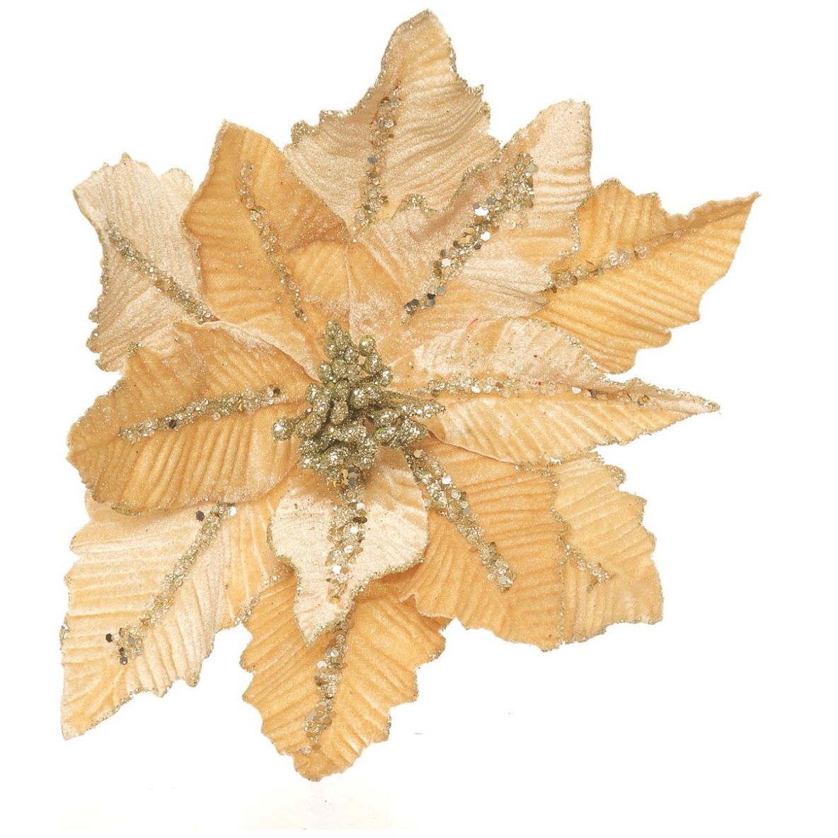 Flor de Nochebuena Color Champagne