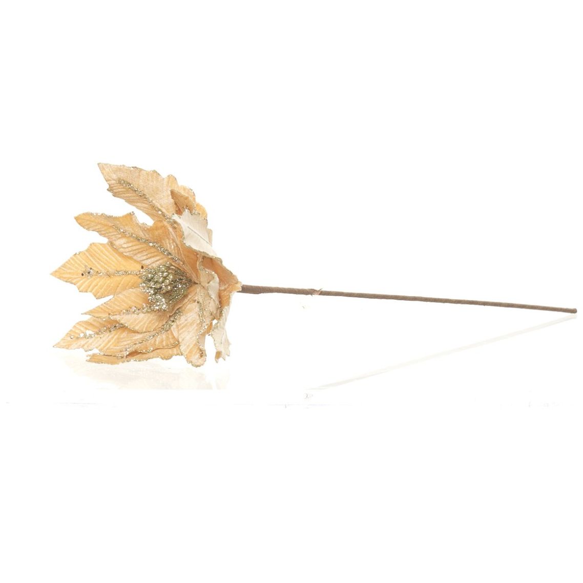 Flor de Nochebuena Color Champagne