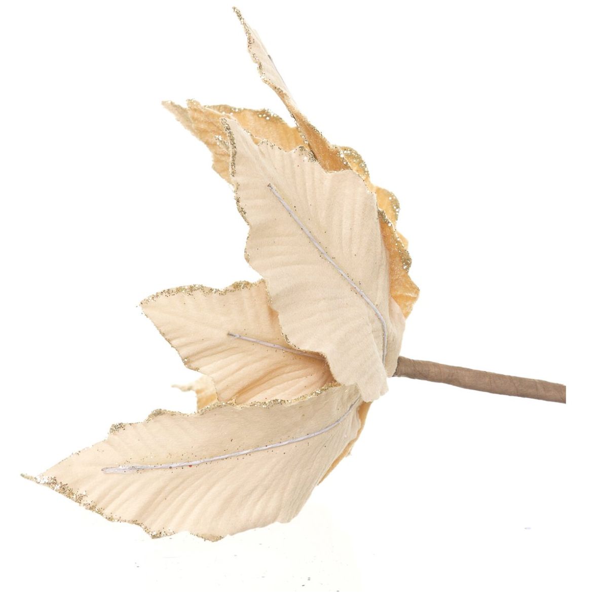 Flor de Nochebuena Color Champagne