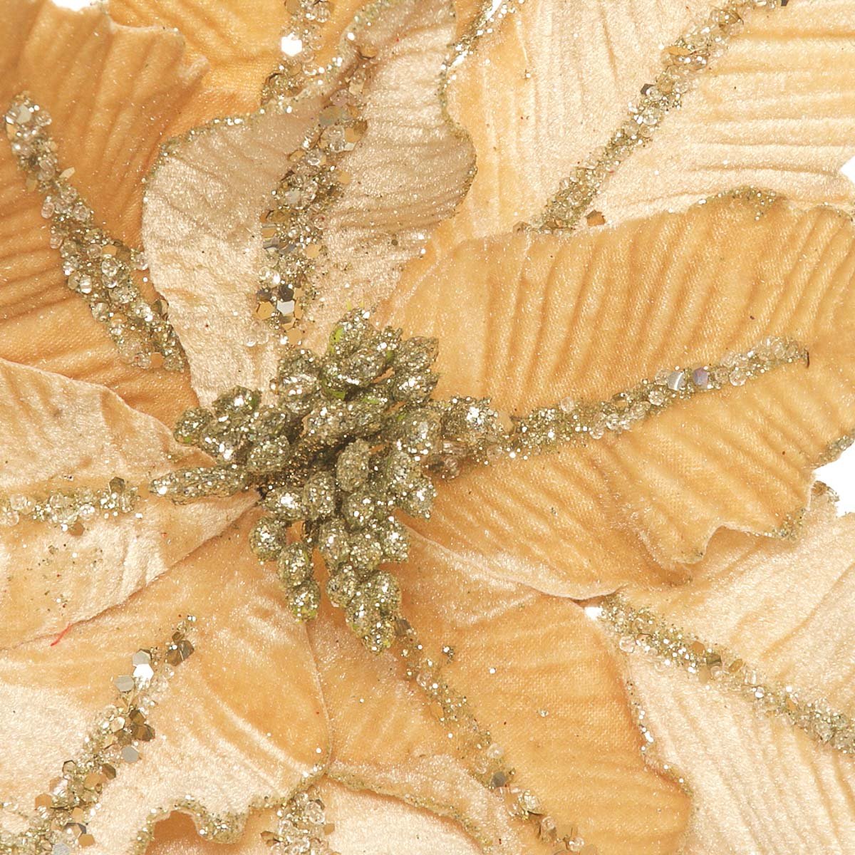 Flor de Nochebuena Color Champagne