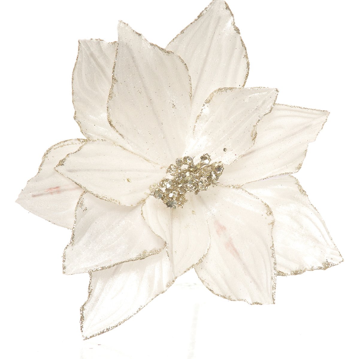 Flor de Nochebuena Color Crema