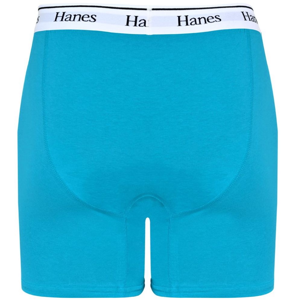 Bóxer Hanes Brief 2 Pack para Hombre