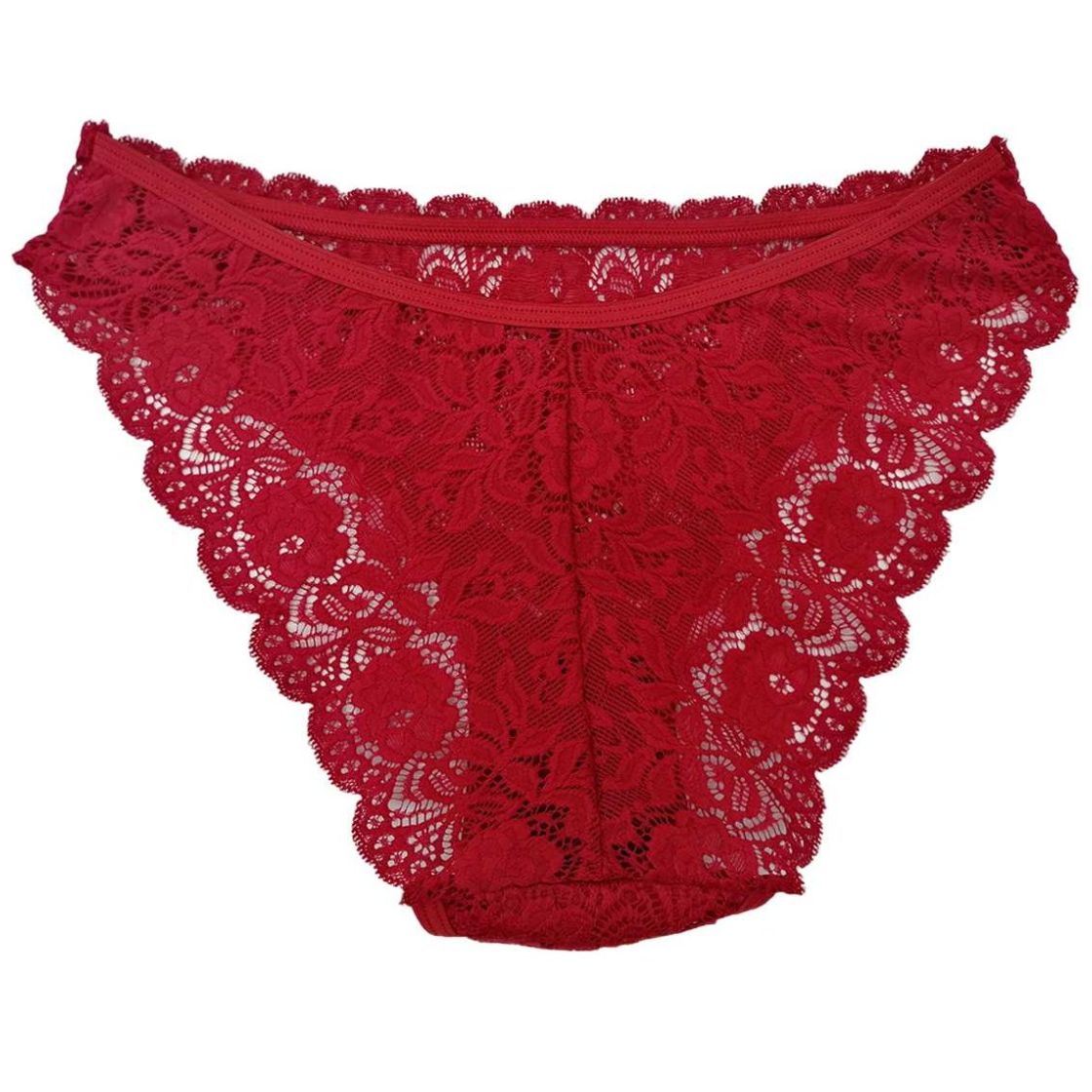 Panty Corte Frances de Encaje Zelina