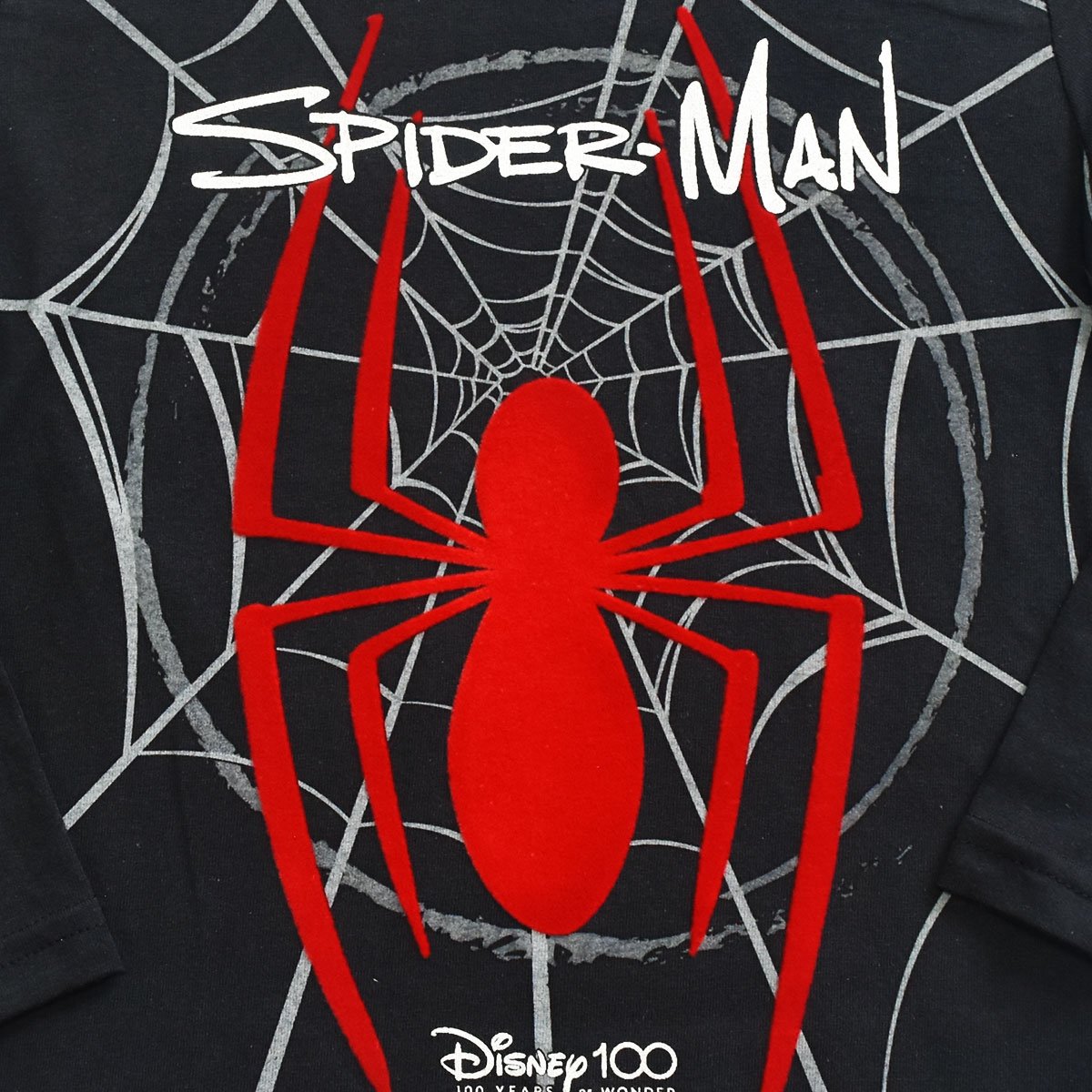 Playera para Niño Manga Larga Color Negro Spider-Man