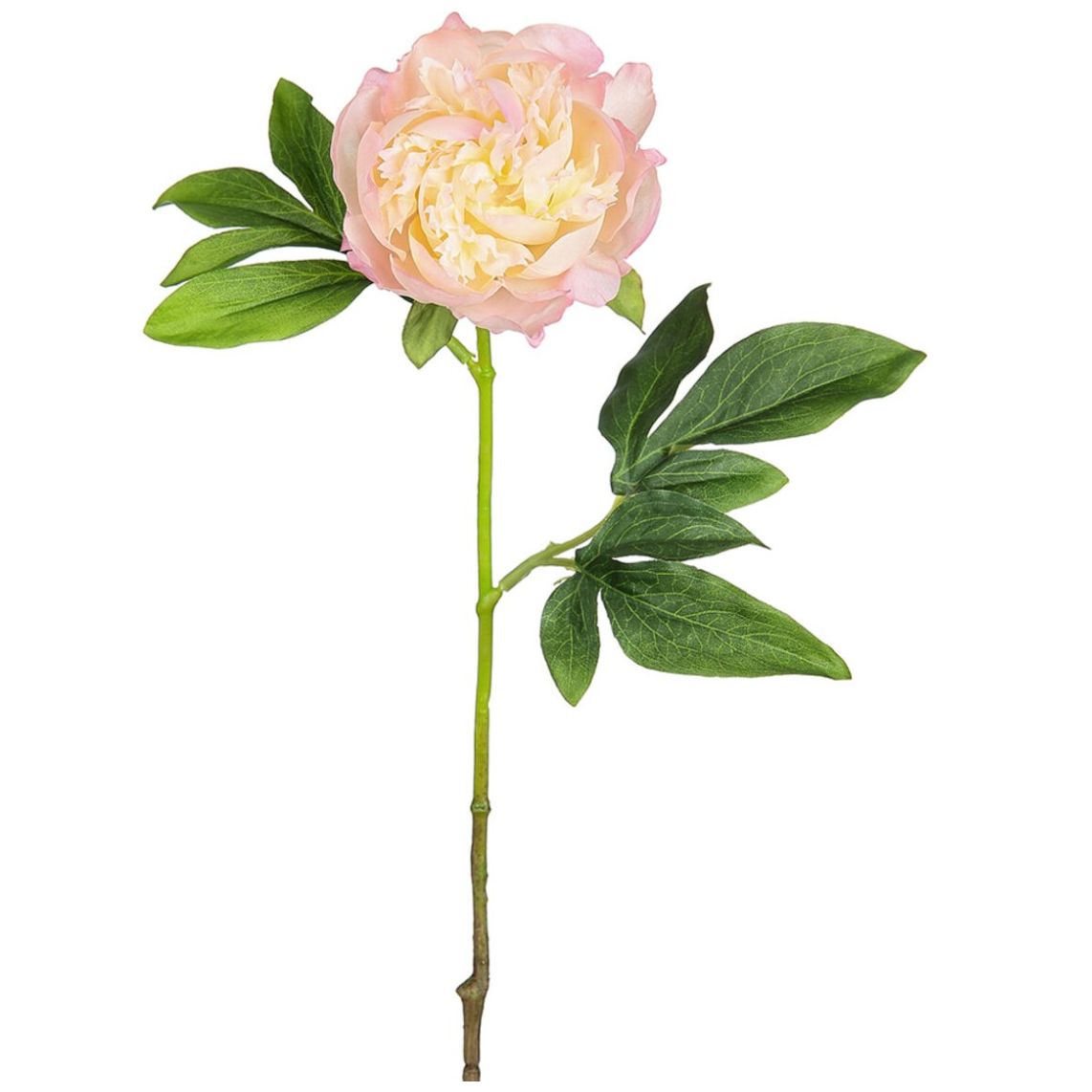 Peonia Naranja 55Cm Allstate Floral