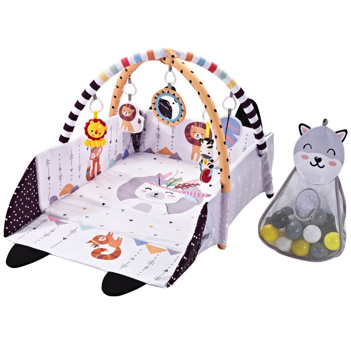 Gimnasio Alberca de Pelotas Fox Infanti