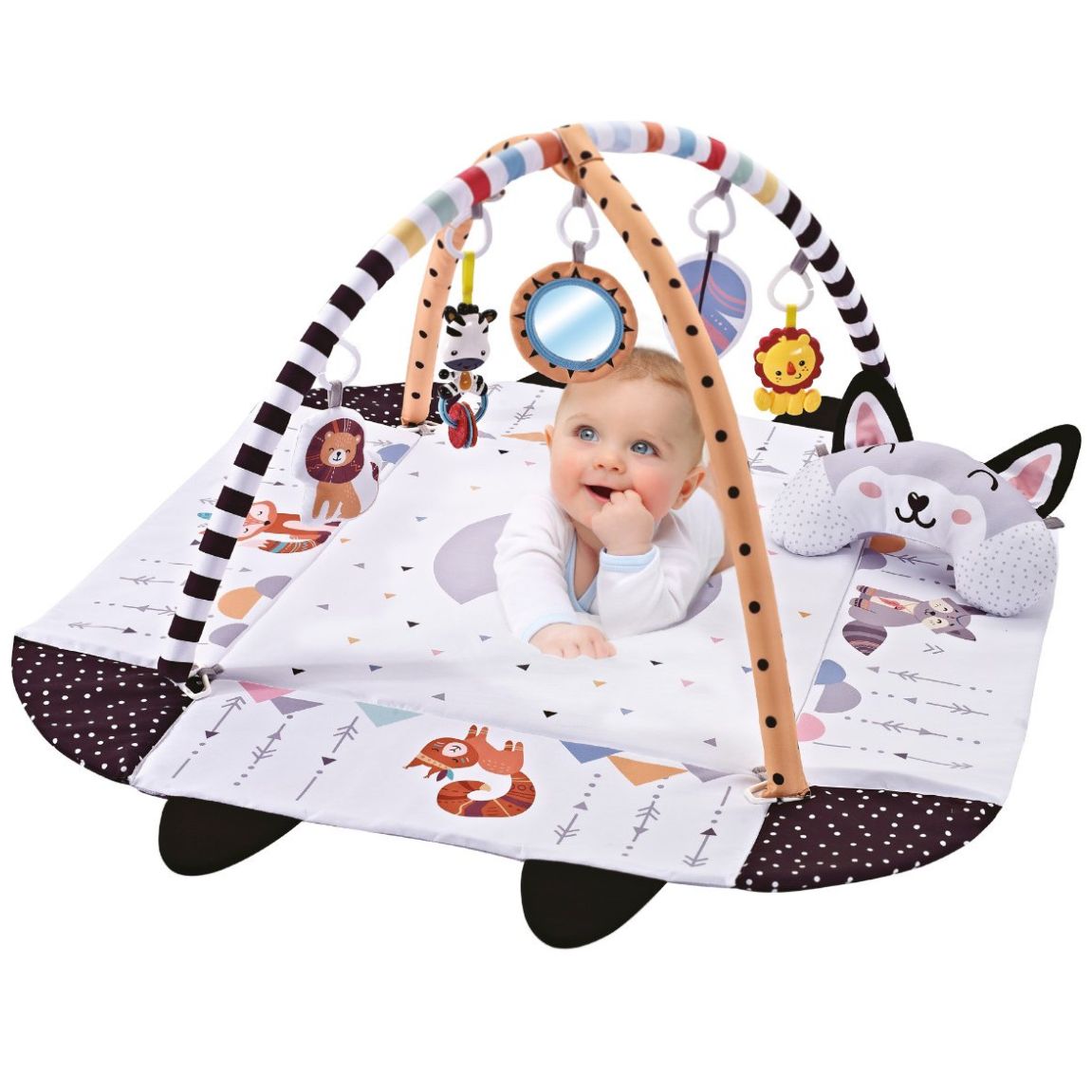 Gimnasio Alberca de Pelotas Fox Infanti