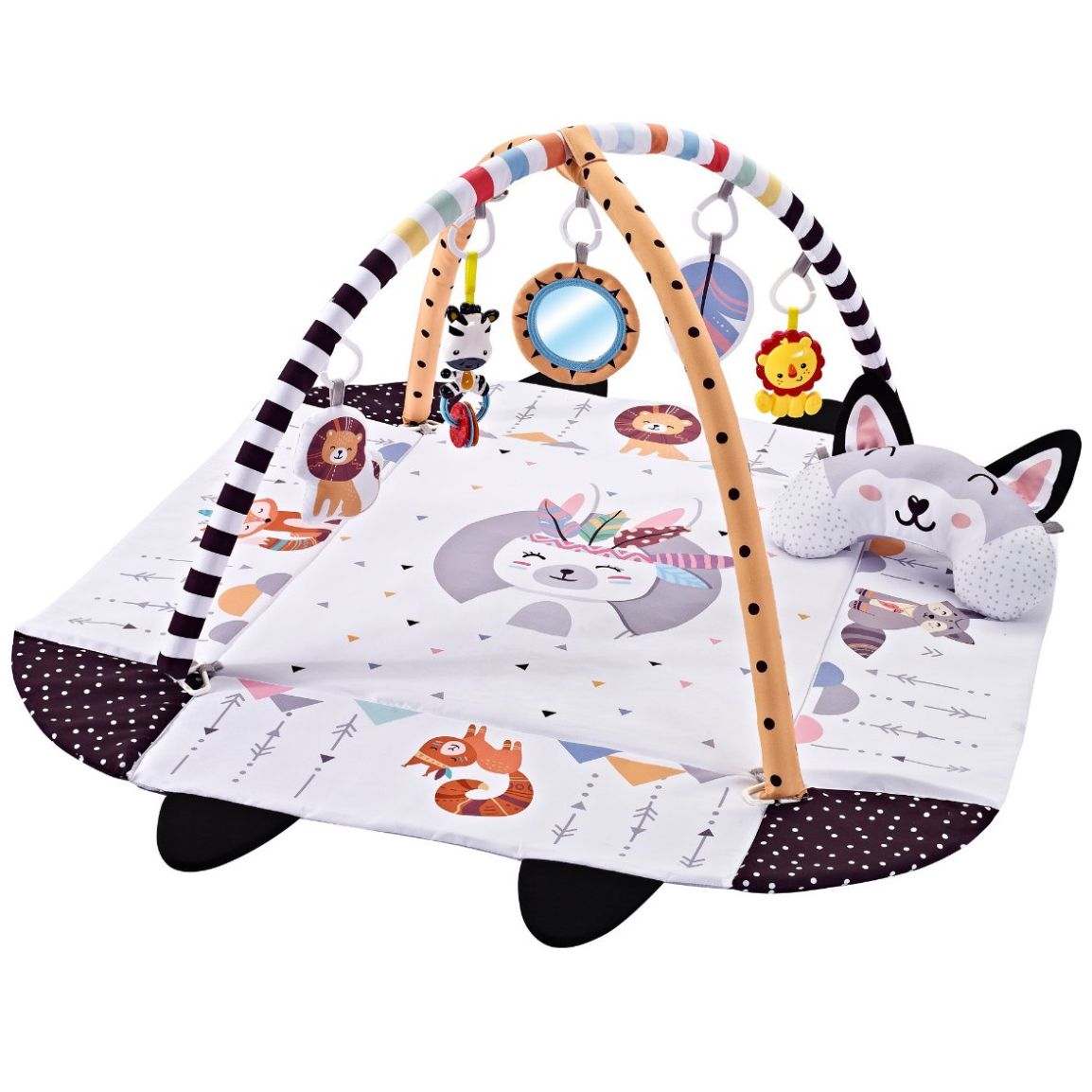 Gimnasio Alberca de Pelotas Fox Infanti