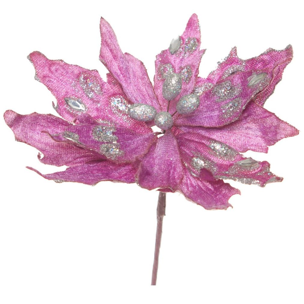 Flor de Nochebuena Tailandesa Color Morado 25Cm