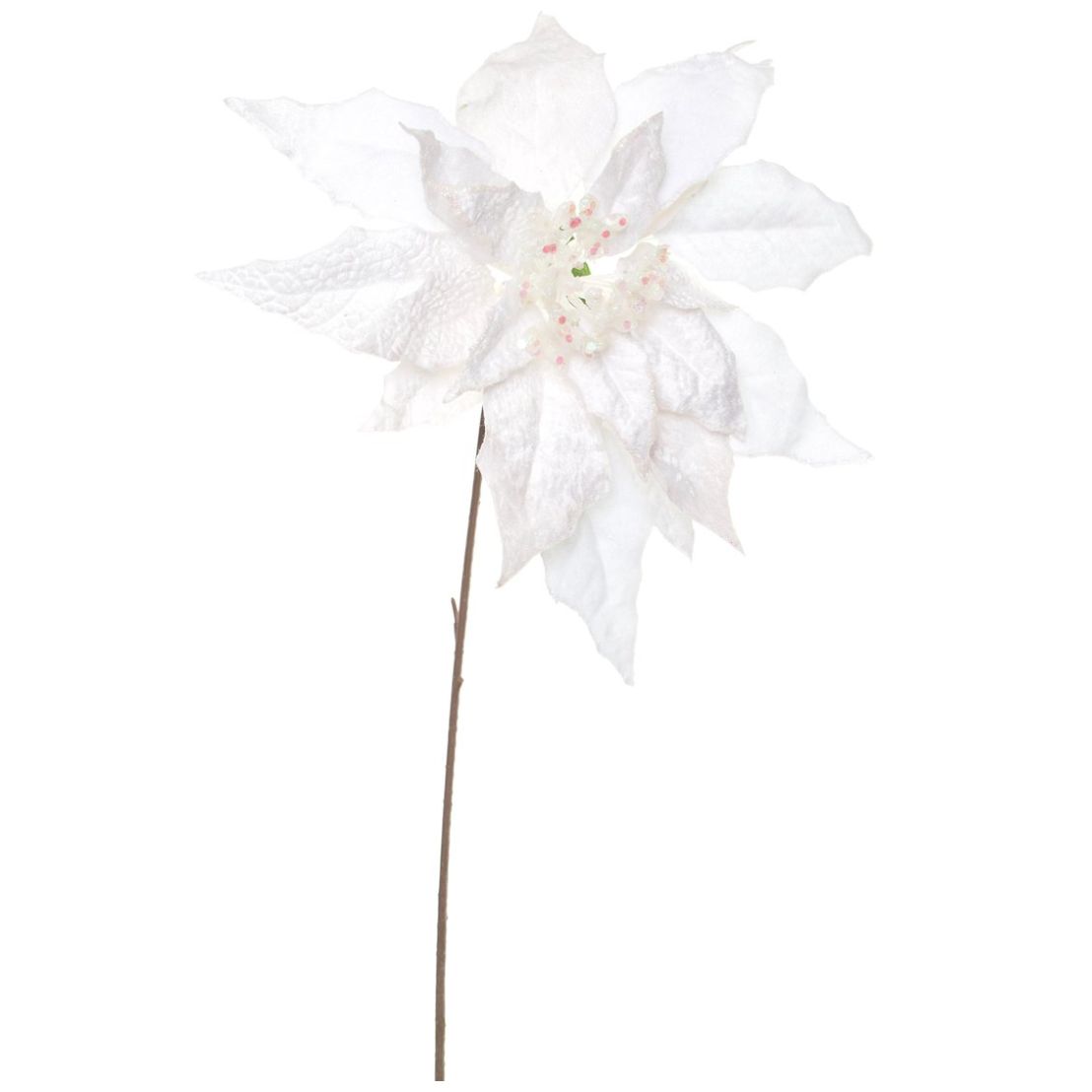 Flor de Nochebuena Blanca 51Cm