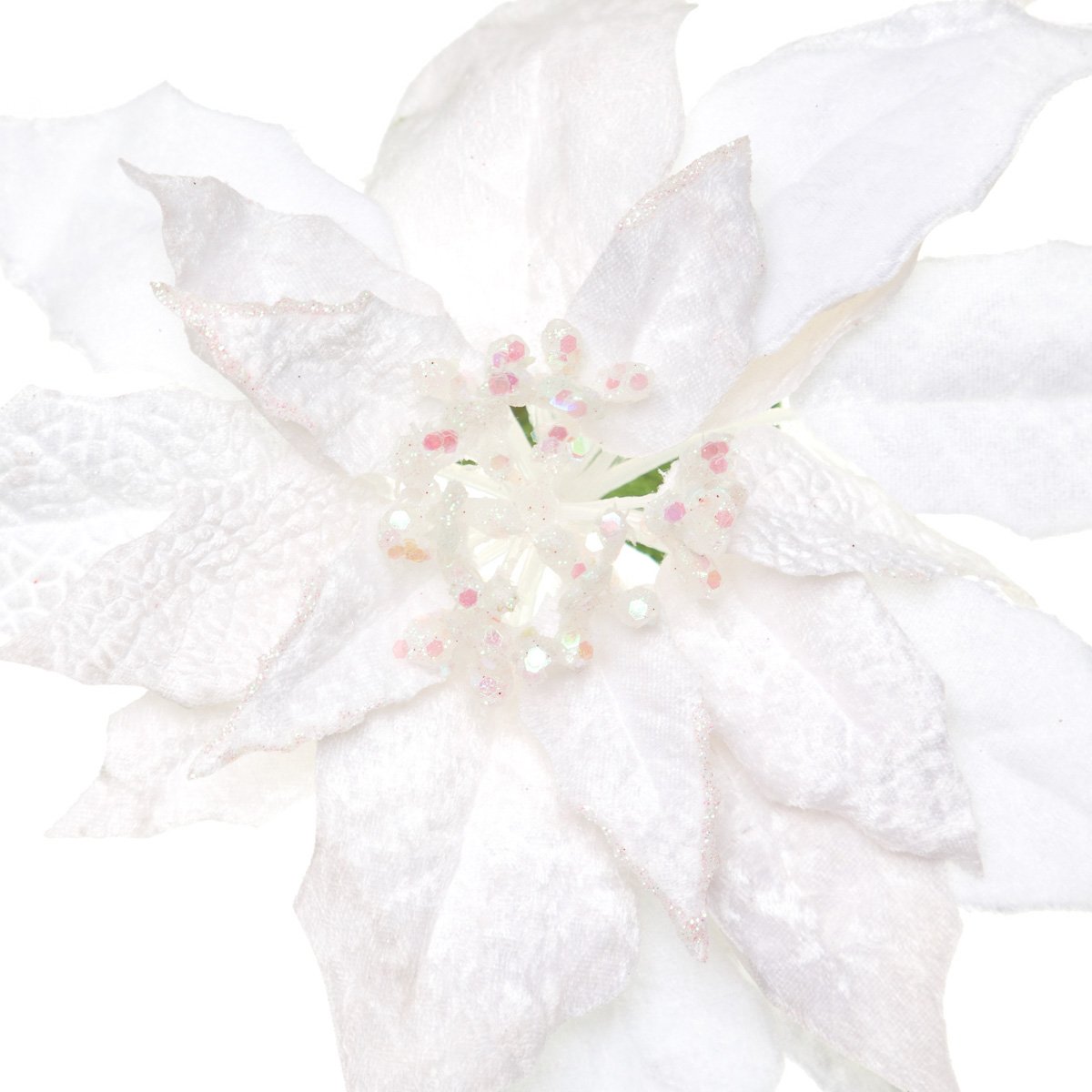 Flor de Nochebuena Blanca 51Cm
