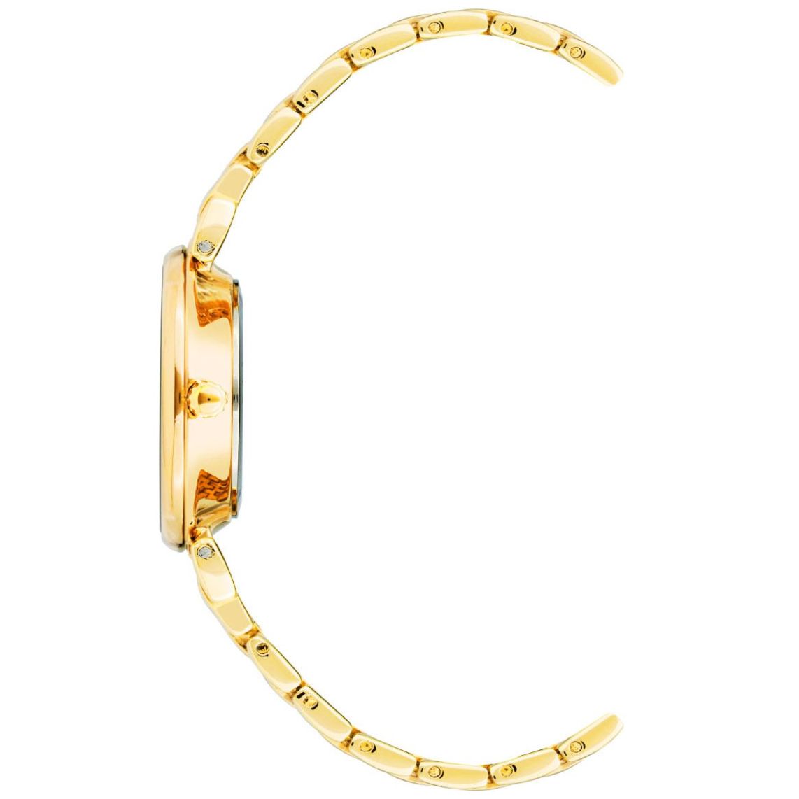 Reloj Anne Klein para Mujer Ak2158Lvgb