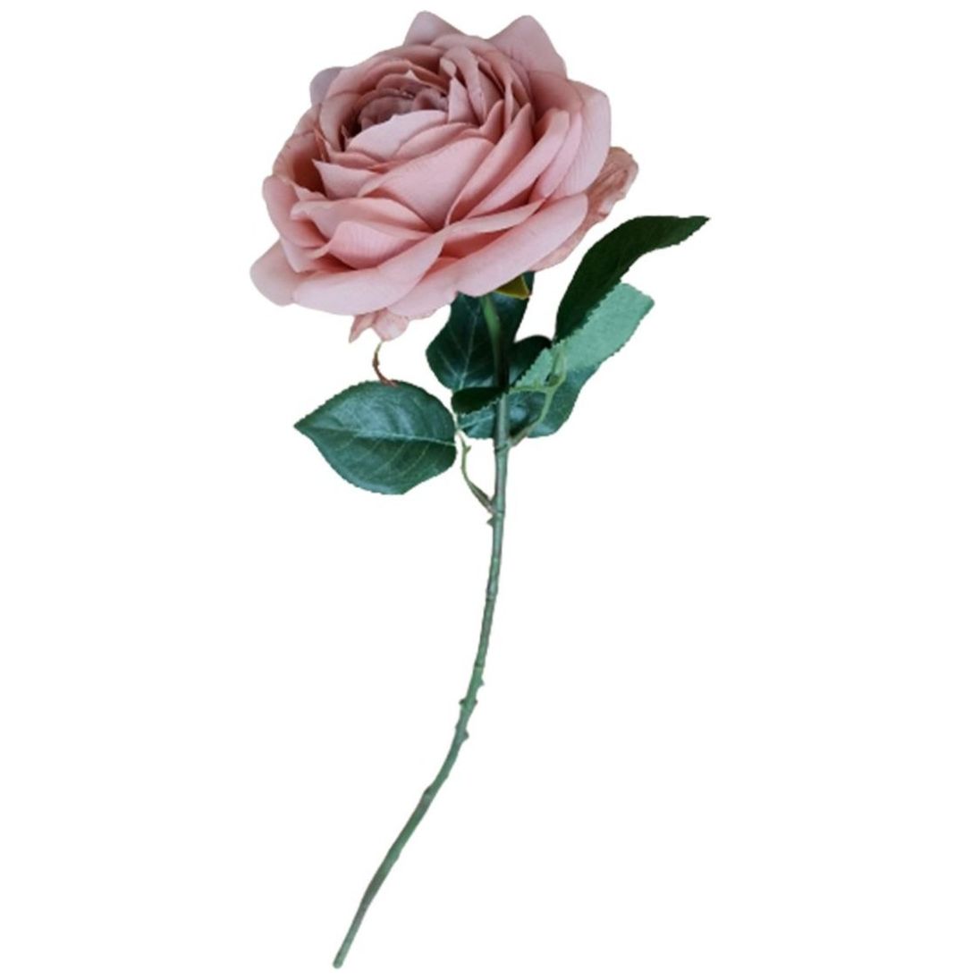 Flor Rosa Blush Vintage Home