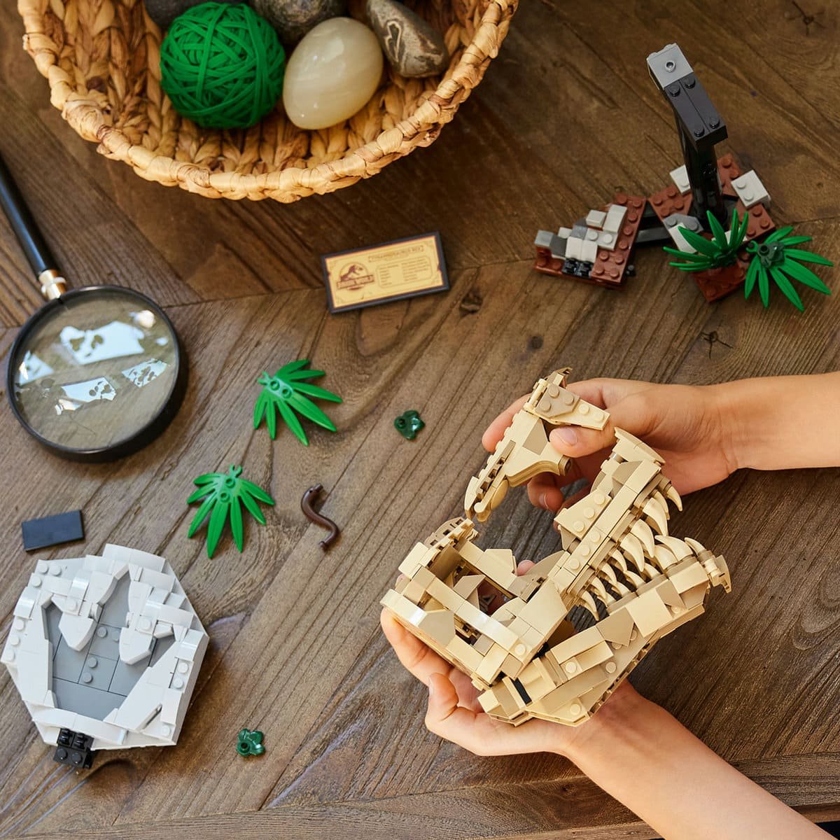 Lego Fósiles de Dinosaurio: Cráneo de T. Rex