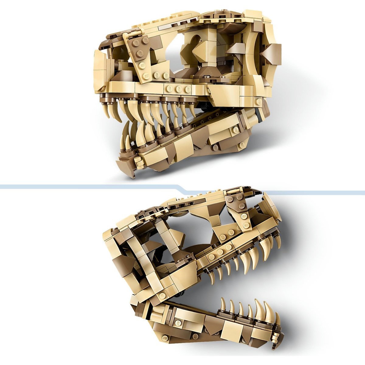 Lego Fósiles de Dinosaurio: Cráneo de T. Rex