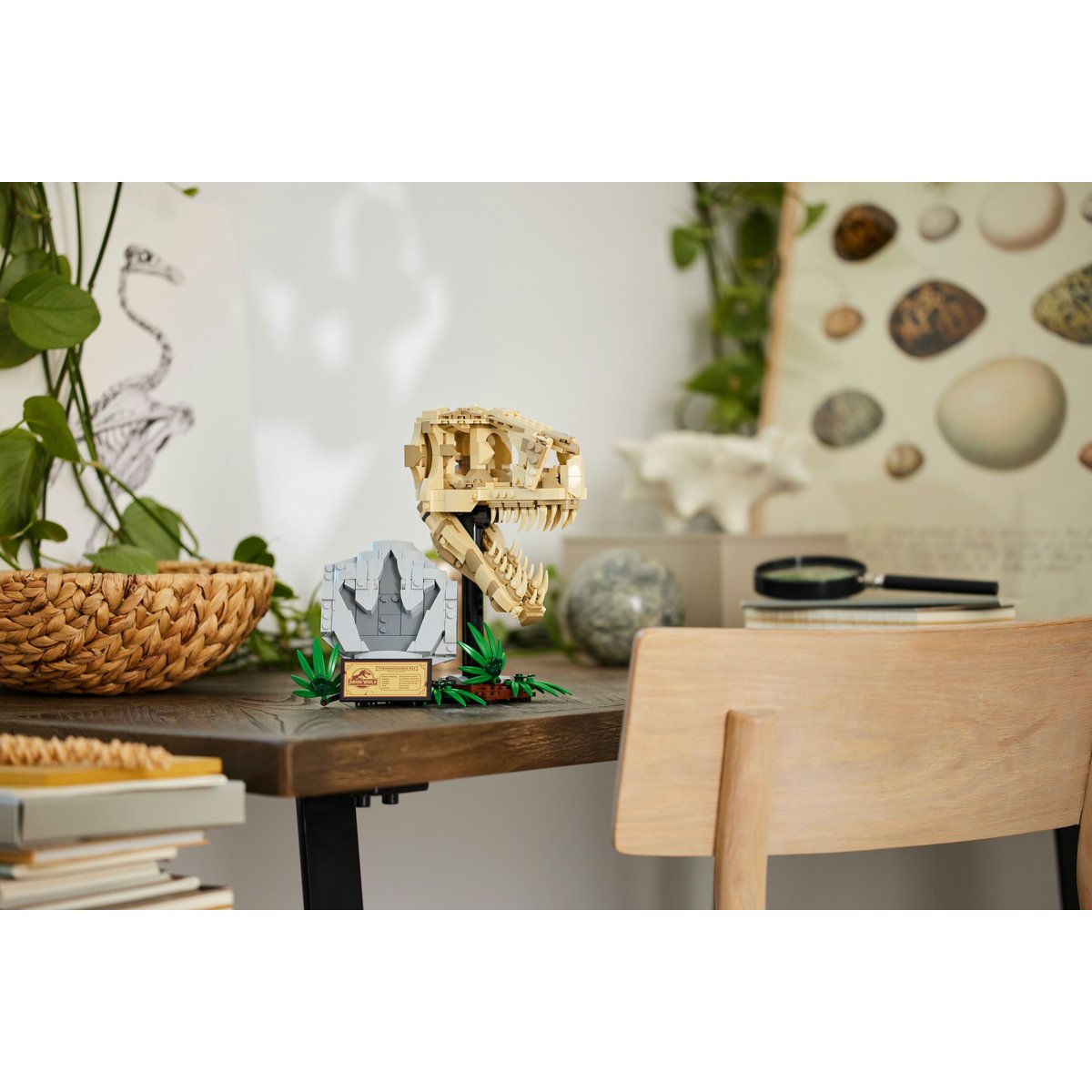 Lego Fósiles de Dinosaurio: Cráneo de T. Rex