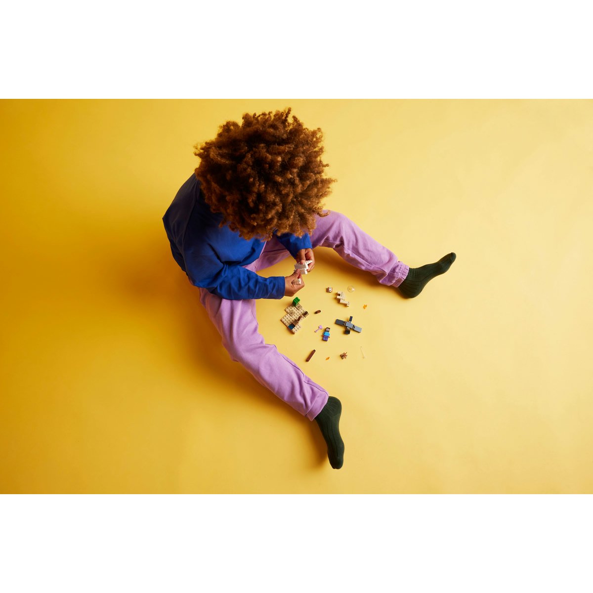 Lego la Expedición de Steve al Desierto