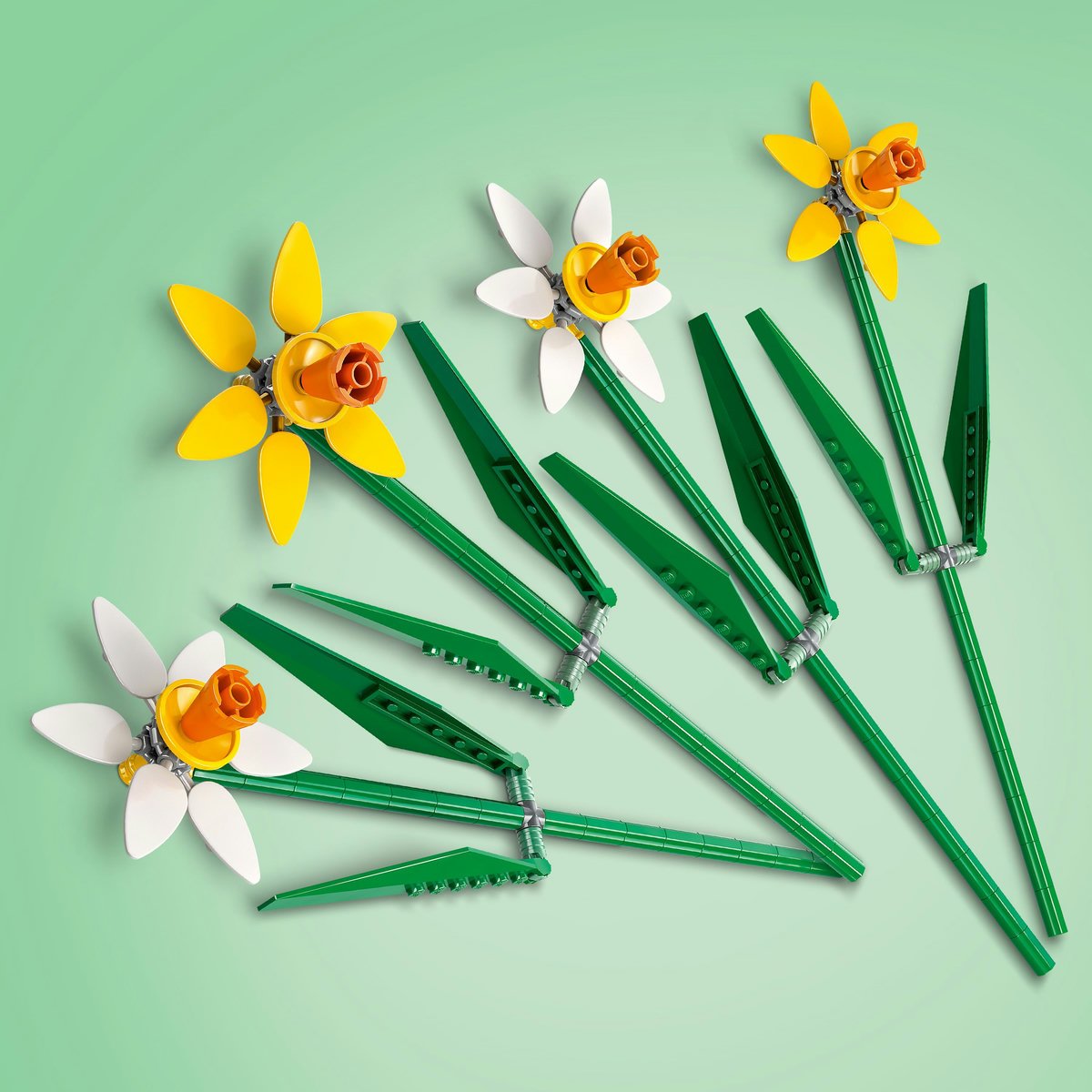 Lego Narcisos
