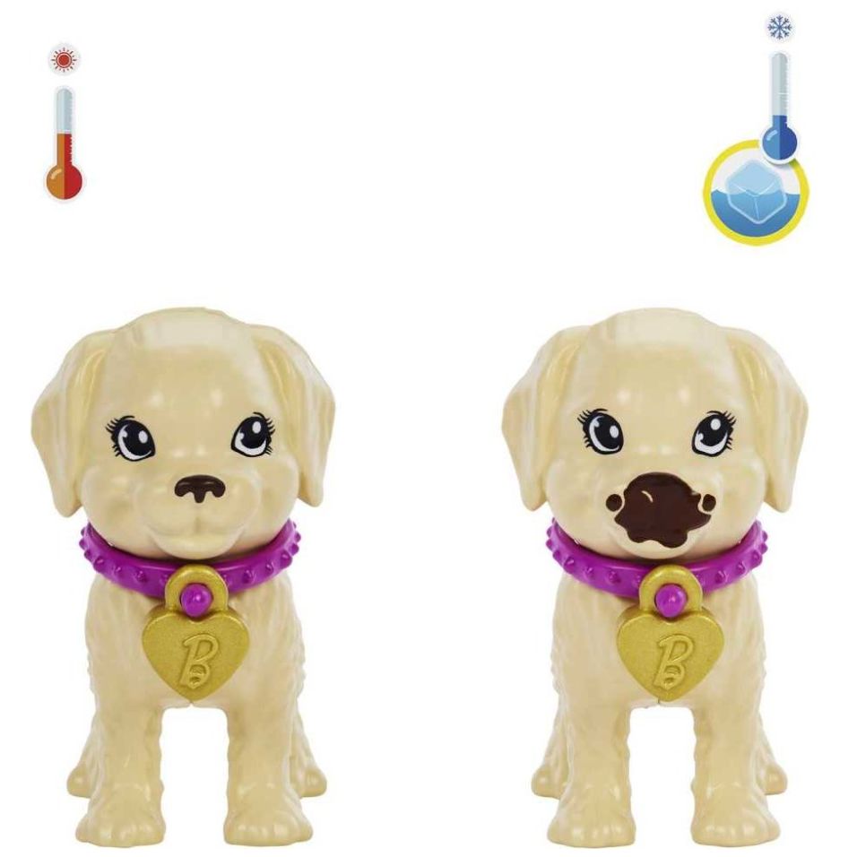 Barbie Set de Juego Adopta un Cachorrito
