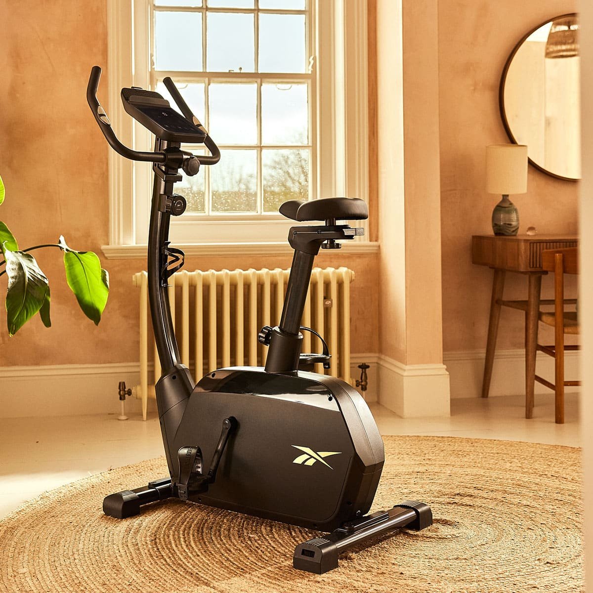 Bicicleta Fija Reebok Fr20