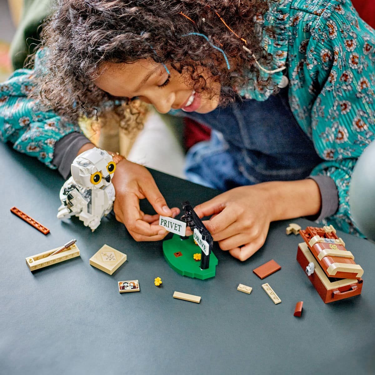 Lego® Hedwig™ en el Número 4 de Privet Drive