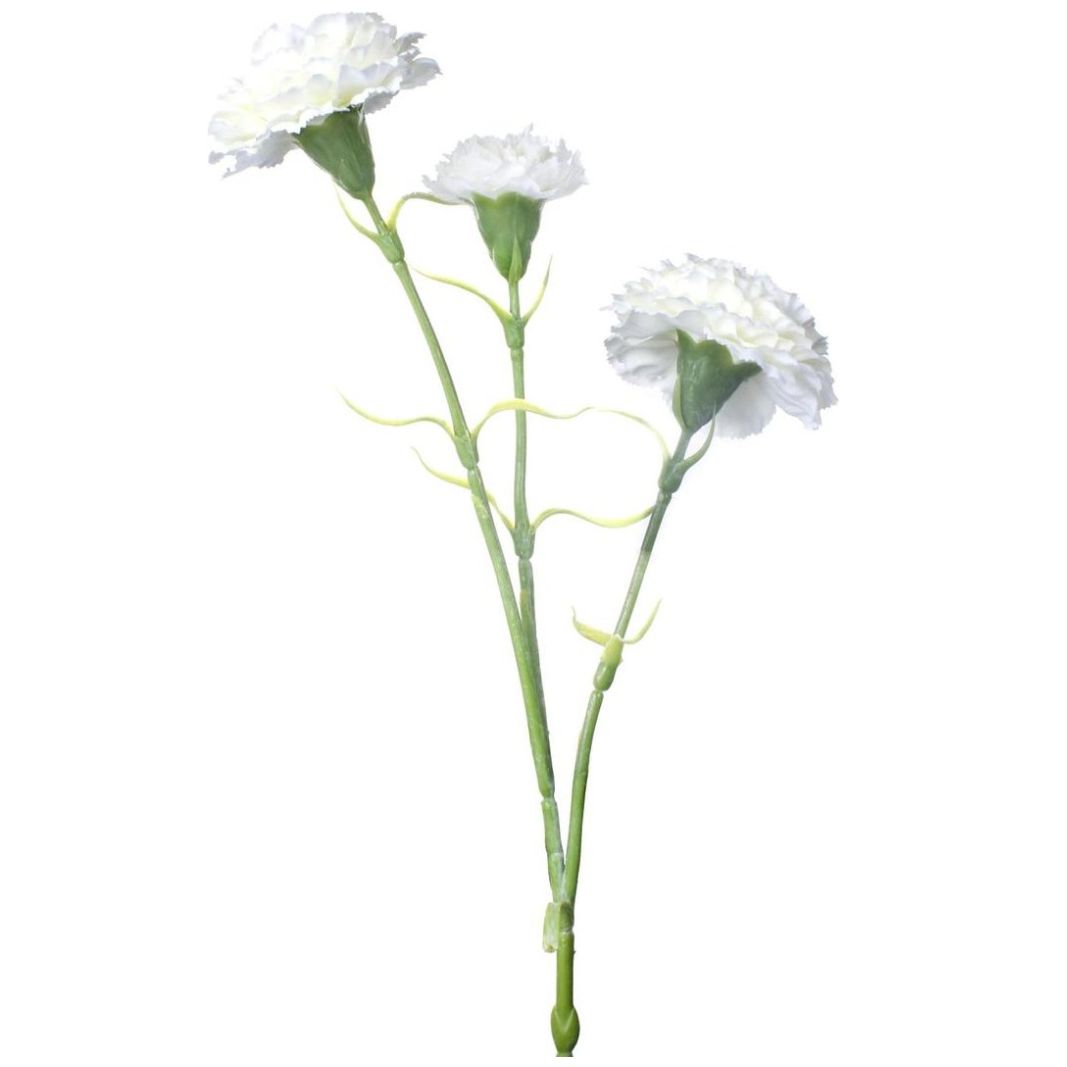 Clavel Blanco Artificial Concepts