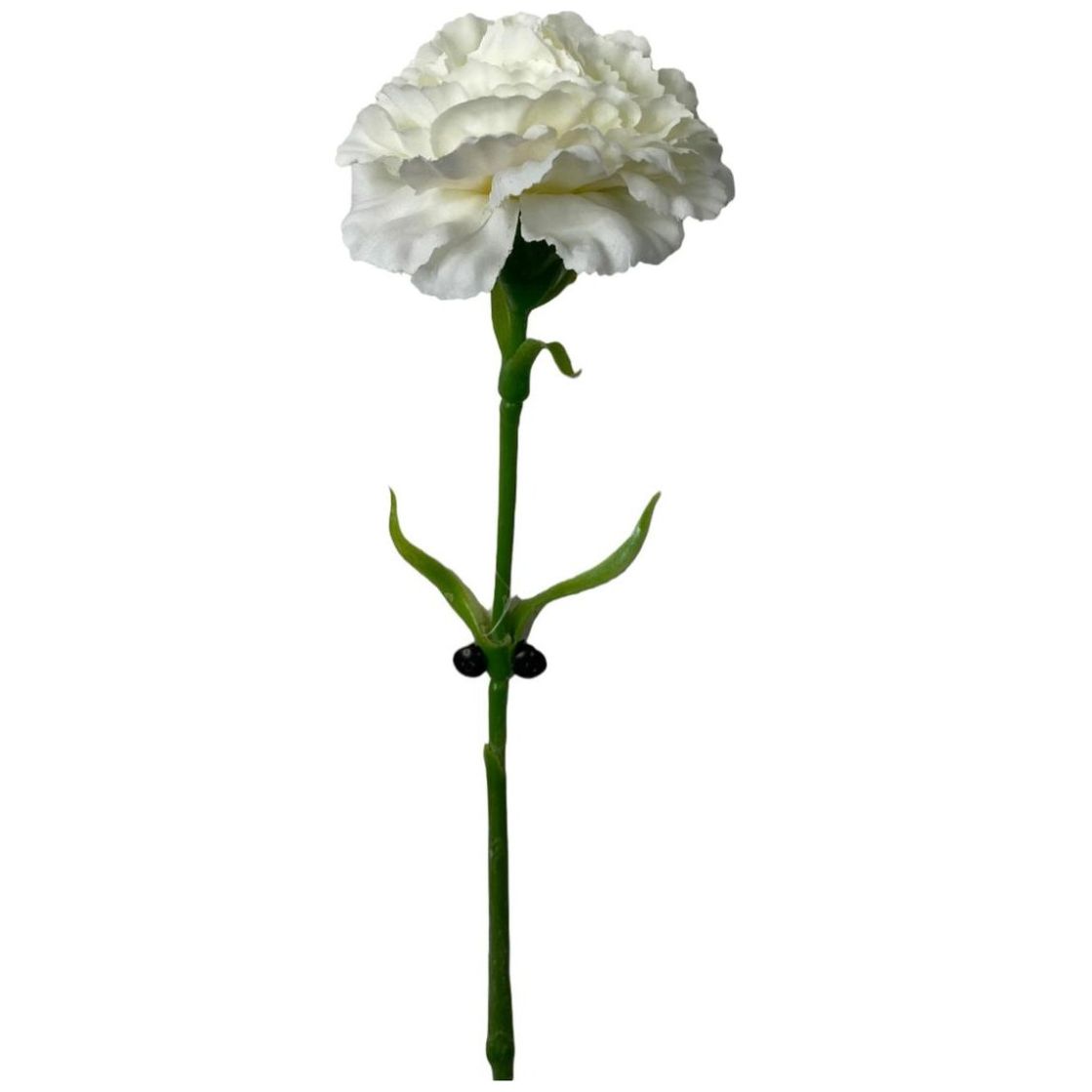 Clavel Blanco Artificial Concepts