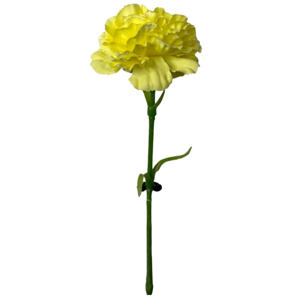 Clavel Amarillo Artificial Concepts