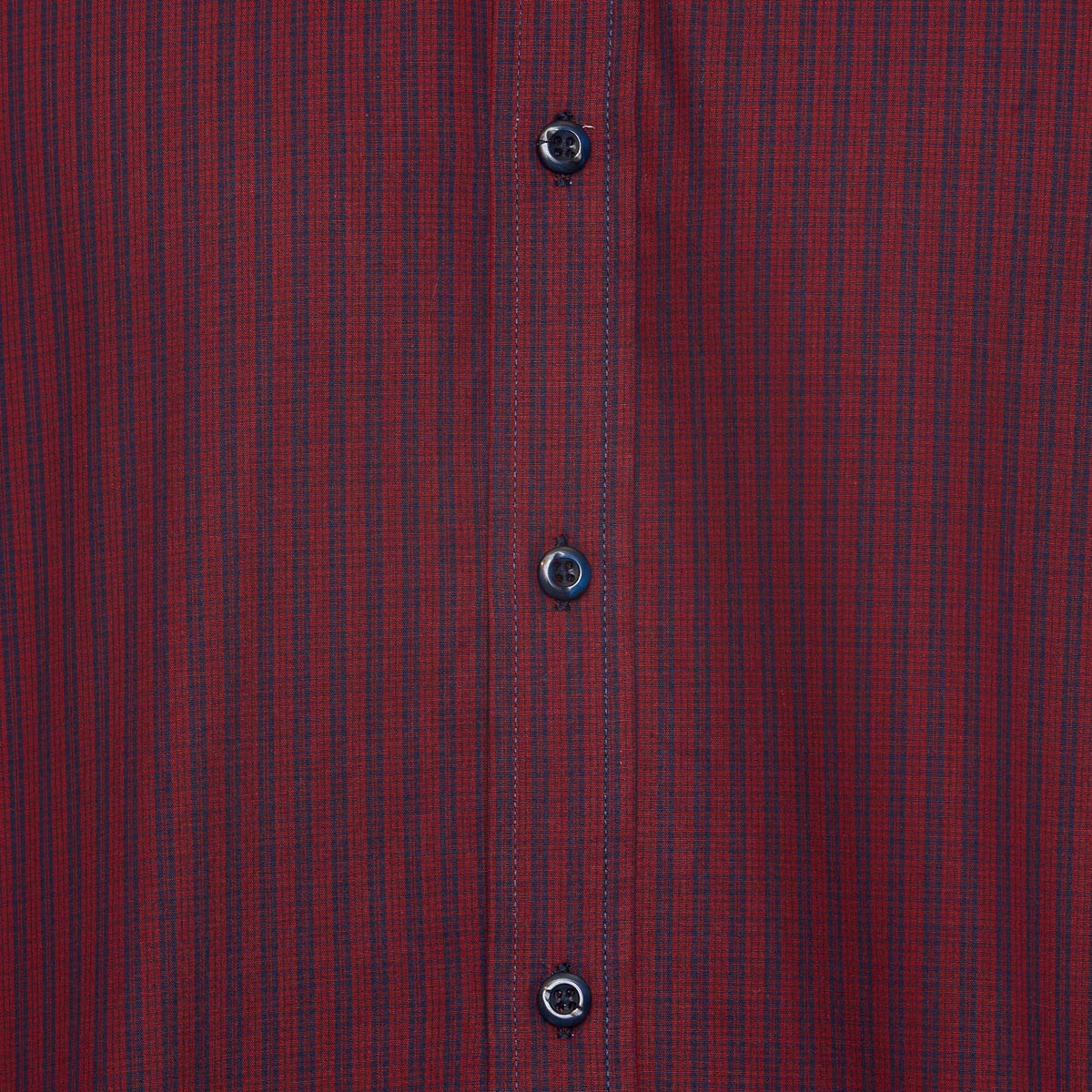 Camisa para Hombre Swiss Navy