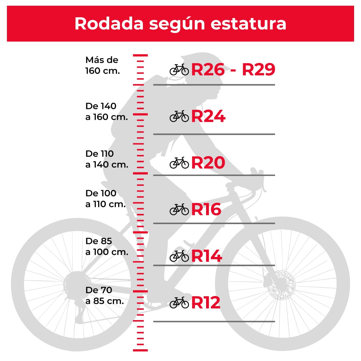 Bicicleta Street Runner R20